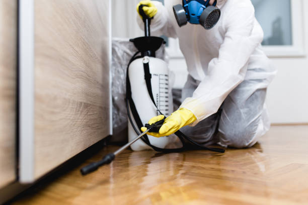 Best Pest Control Near Me in Shillington, PA