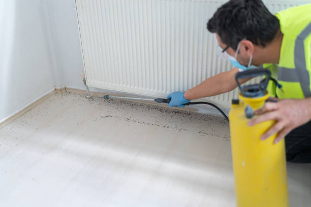 Best Pest Control Cost  in Shillington, PA