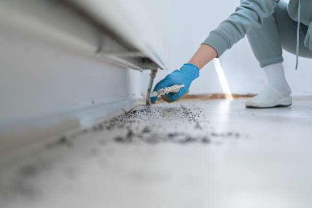 Professional Pest Control in Shillington, PA