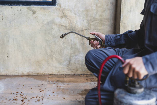 Best Pest Removal Services  in Shillington, PA
